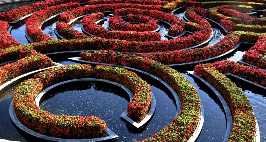 Robert irwin's garden design at the Getty Center in Los Angeles 0981