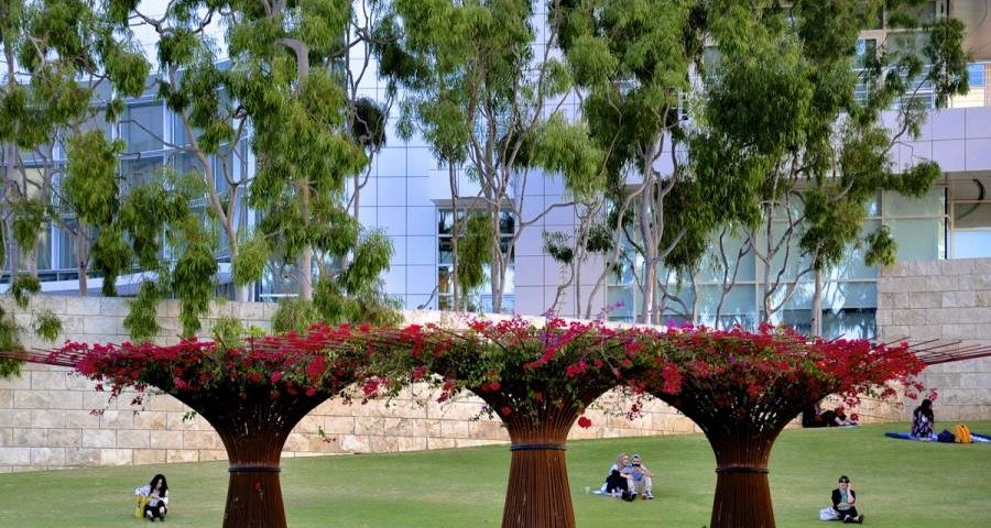 Robert irwin's garden design at the Getty Center in Los Angeles 0990