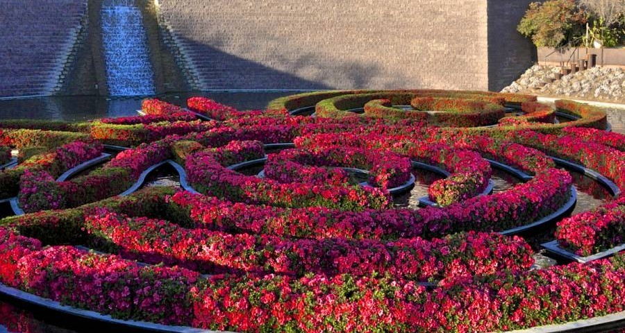 Robert irwin's garden design at the Getty Center in Los Angeles 1010