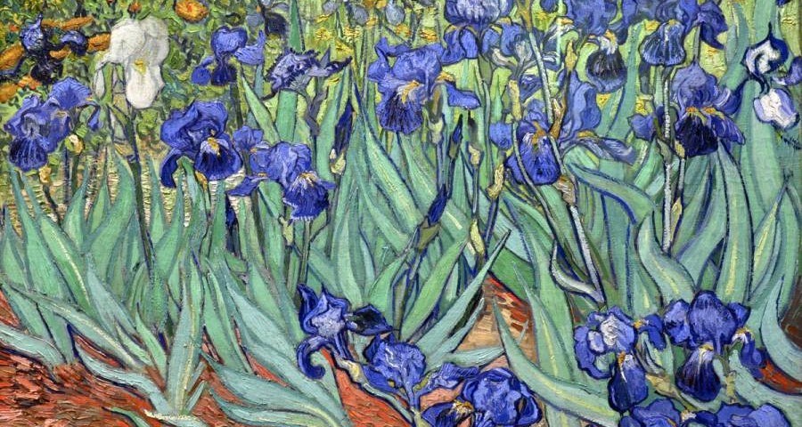 Van Gogh's 'Irises' 0664