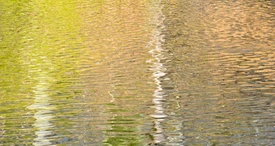 Reflections At Valley Green 2383