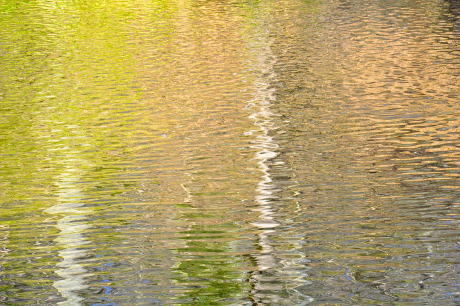 Reflections At Valley Green 2383