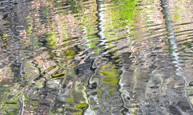 Reflections At Valley Green 2395