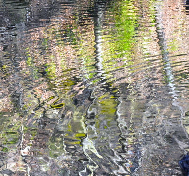 Reflections At Valley Green 2395