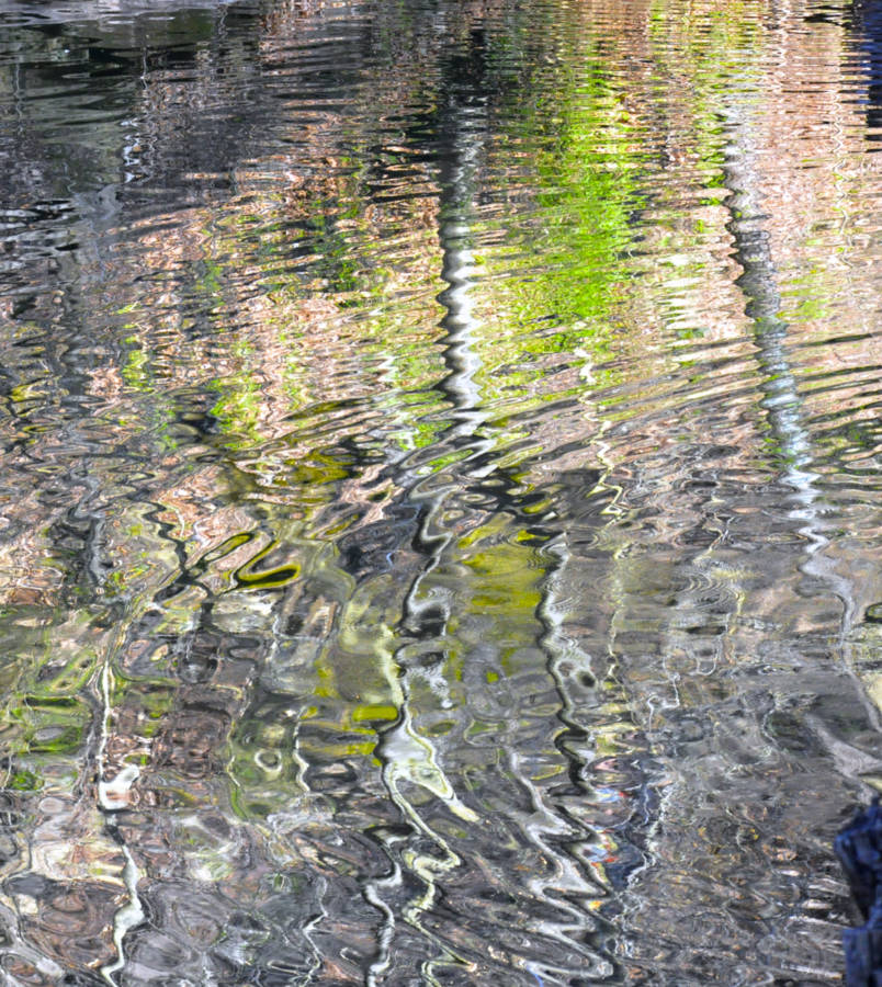 Reflections At Valley Green 2395