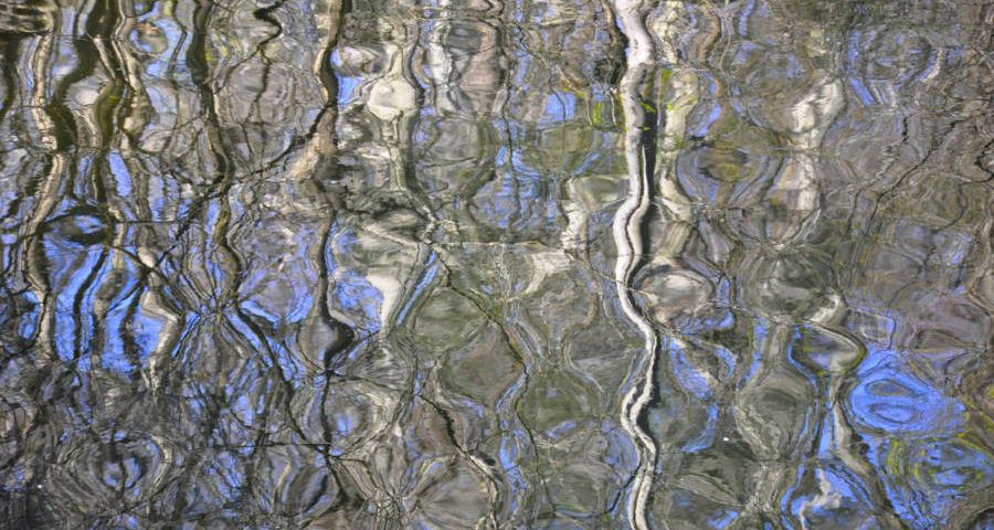 Reflections At Valley Green X