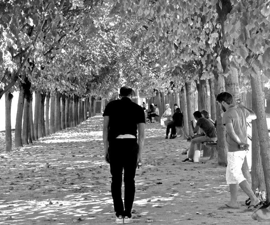 France 2016 0033