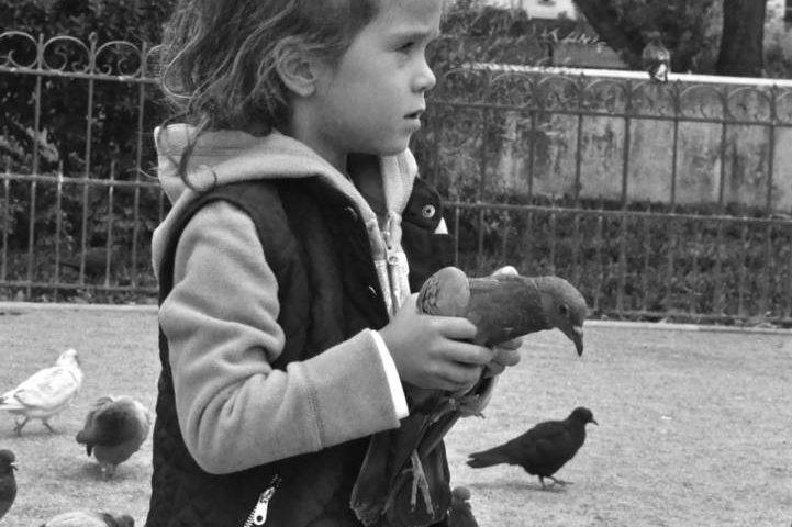 France 2016 0495m