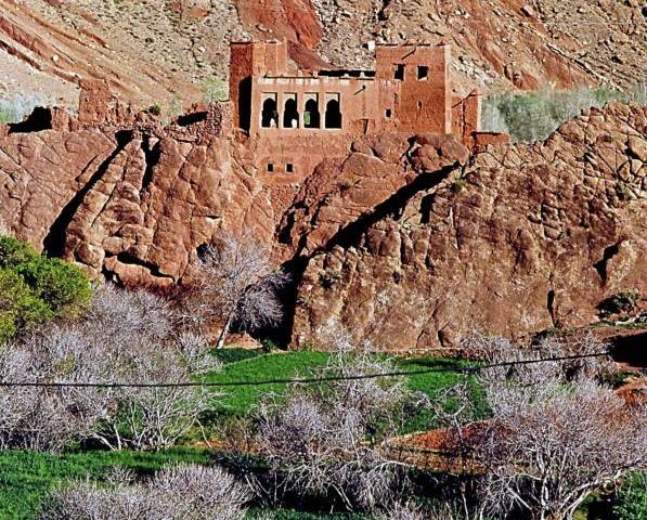 Orchard In Moroccan Landscape