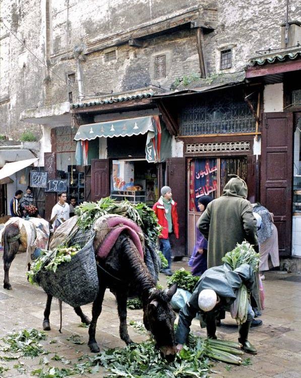 Vegetable Merchant