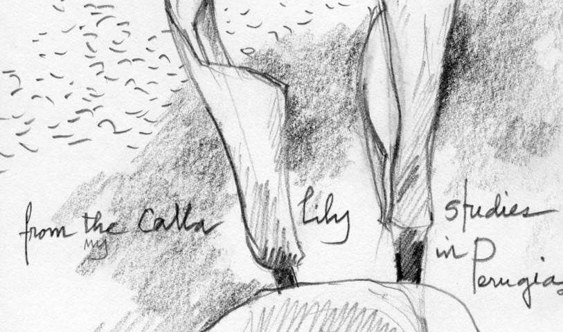 Sketches Scanned 2017191