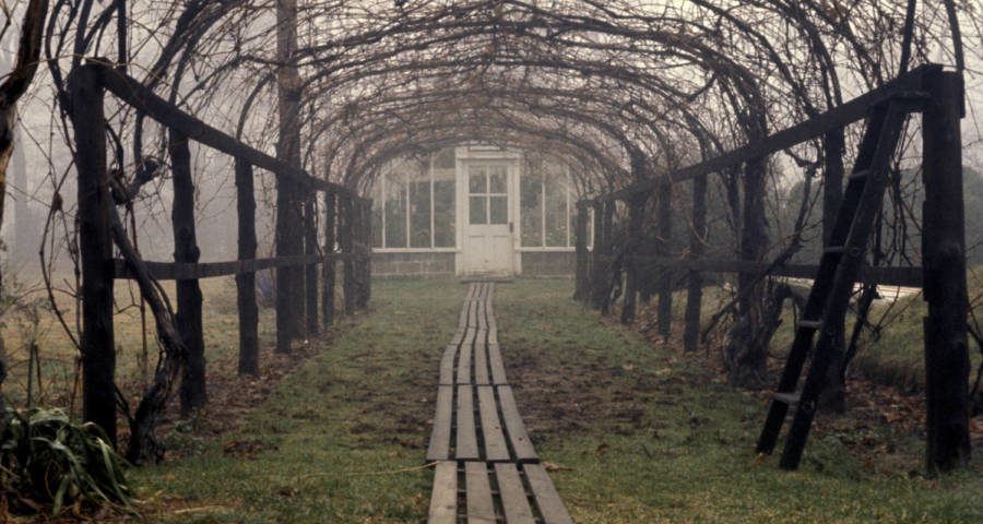 Grape Arbor Wolf Estate Version 3
