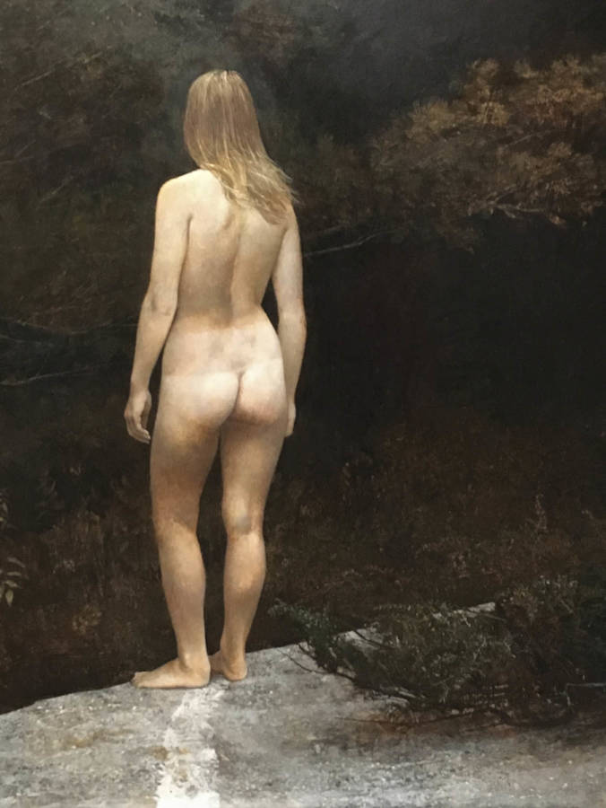 Wyeth Excerpt 16