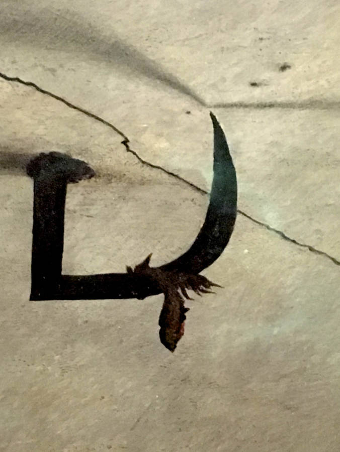 Wyeth Excerpt 5
