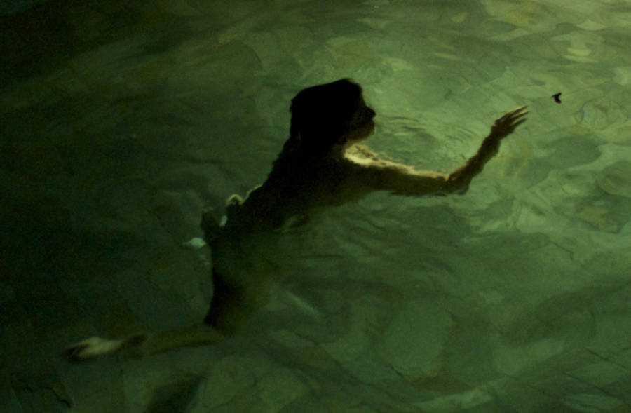 The Sea In Which We Blindly Swim