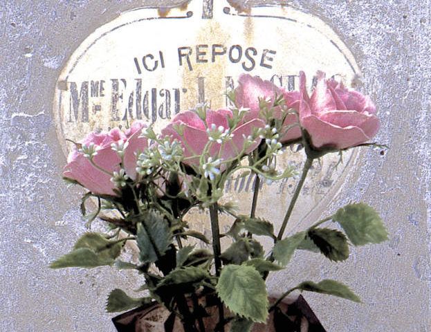 Repose
