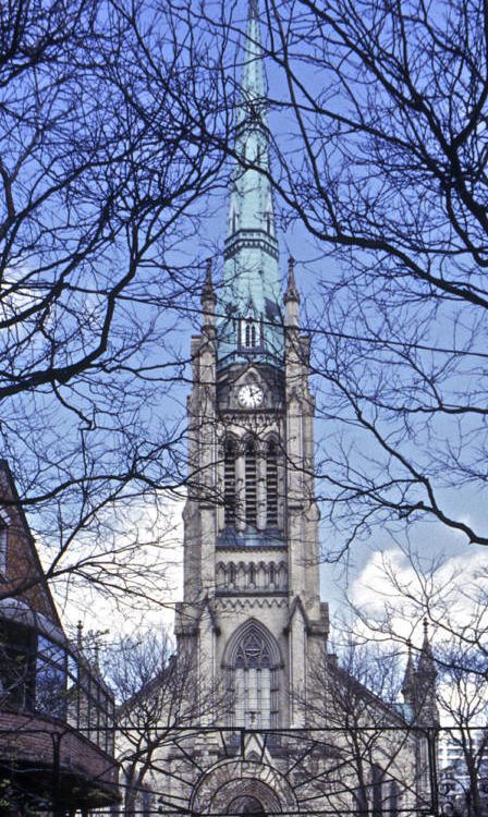 Toronto Church Thru Trees N Version 2